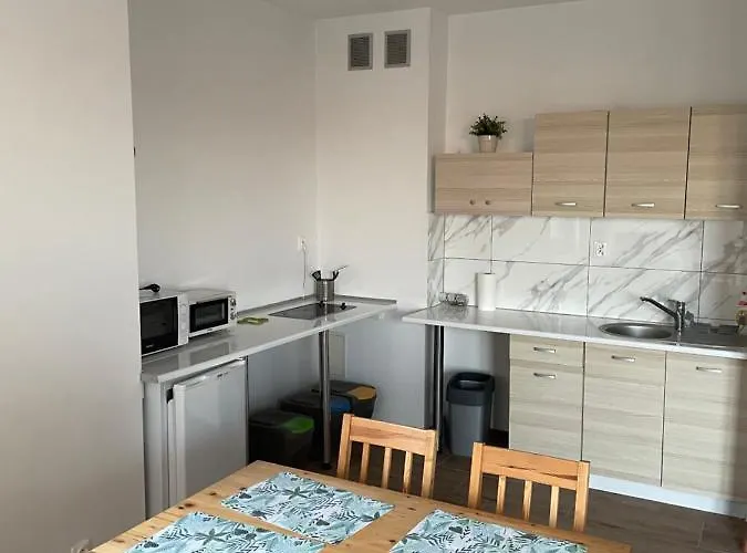 公寓 Kwiatkowskiego25 莱鲍